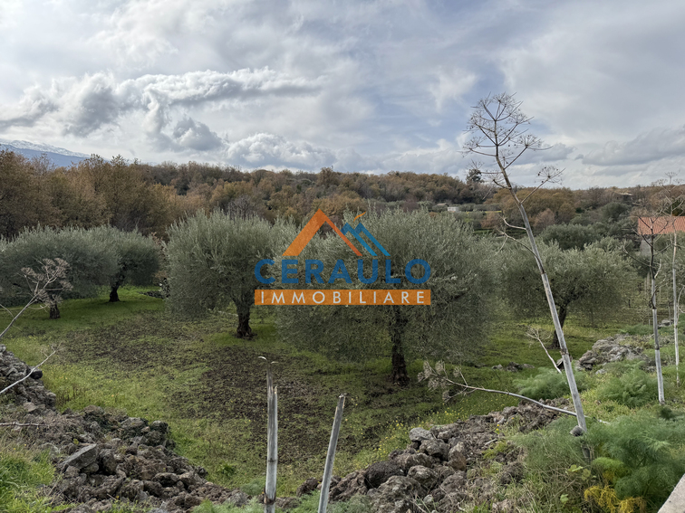 Ceraulo Immobiliare