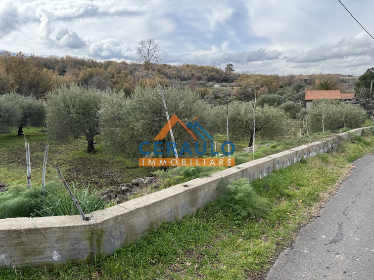 Ceraulo Immobiliare