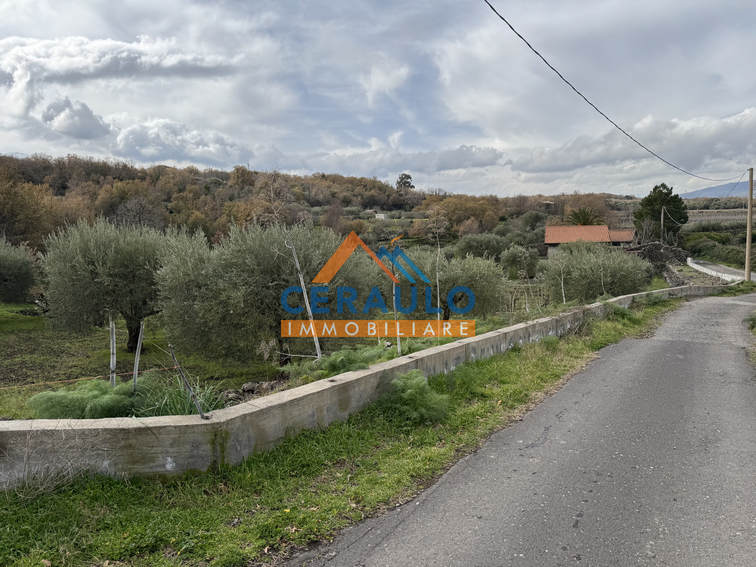 Ceraulo Immobiliare