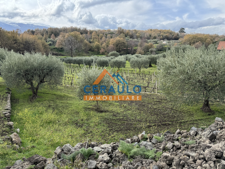 Ceraulo Immobiliare