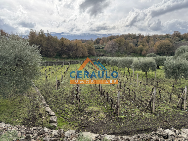 Ceraulo Immobiliare