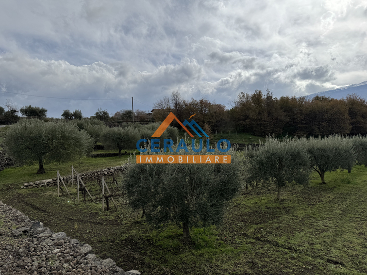 Ceraulo Immobiliare