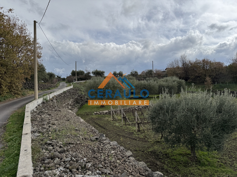 Ceraulo Immobiliare