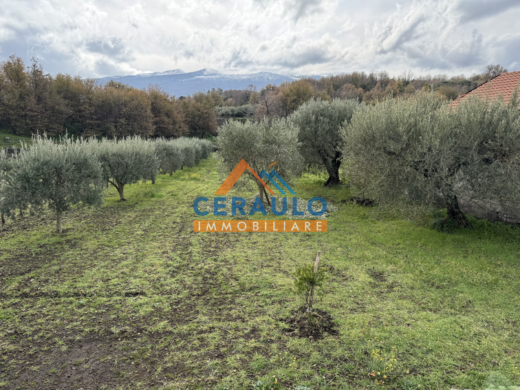 Ceraulo Immobiliare