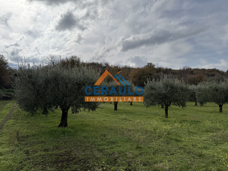 Ceraulo Immobiliare