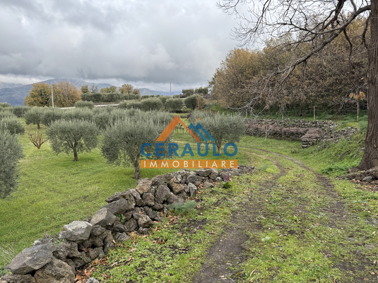 Ceraulo Immobiliare