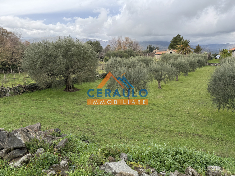 Ceraulo Immobiliare
