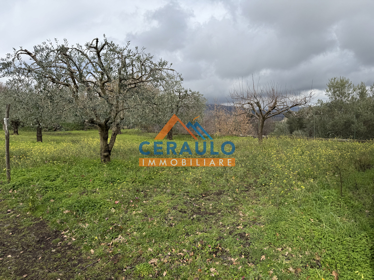 Ceraulo Immobiliare