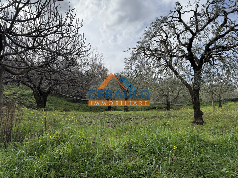 Ceraulo Immobiliare