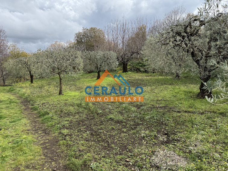 Ceraulo Immobiliare