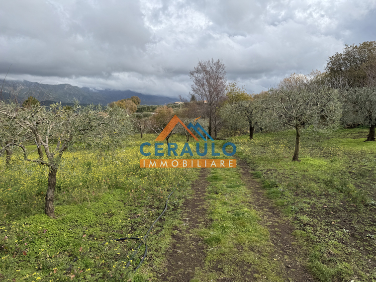 Ceraulo Immobiliare