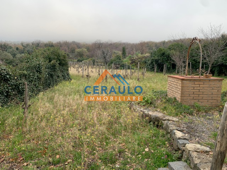 Ceraulo Immobiliare