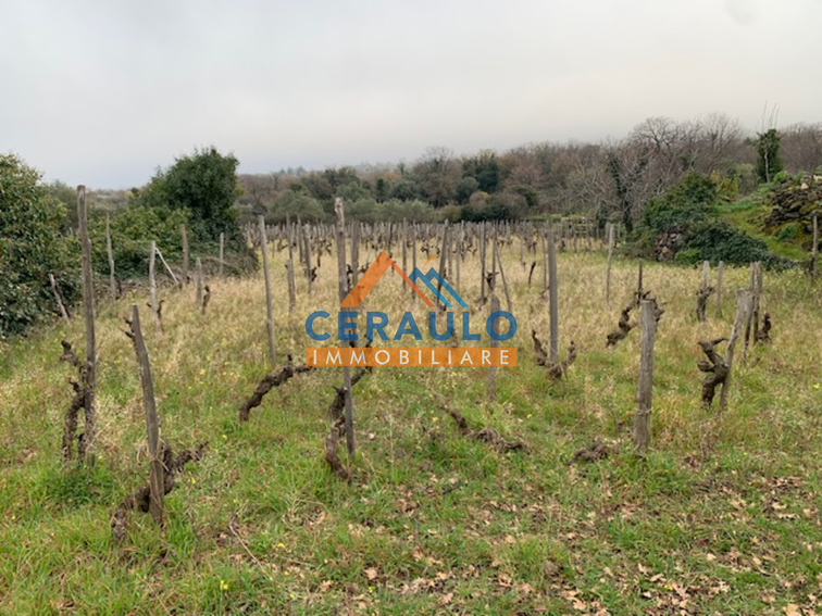 Ceraulo Immobiliare