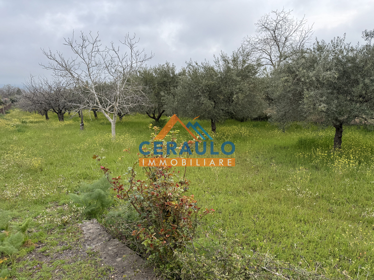 Ceraulo Immobiliare