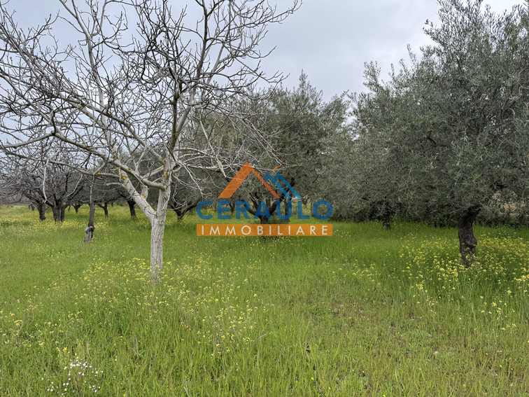 Ceraulo Immobiliare