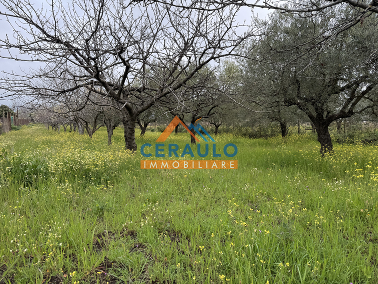 Ceraulo Immobiliare