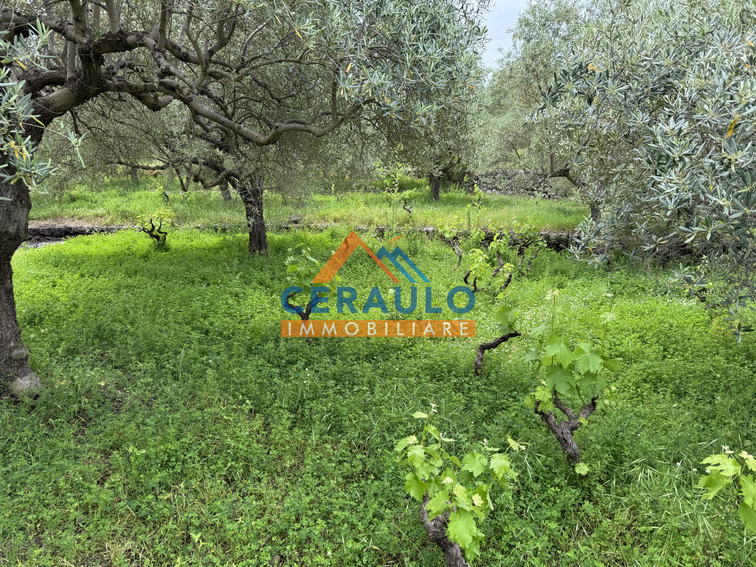 Ceraulo Immobiliare