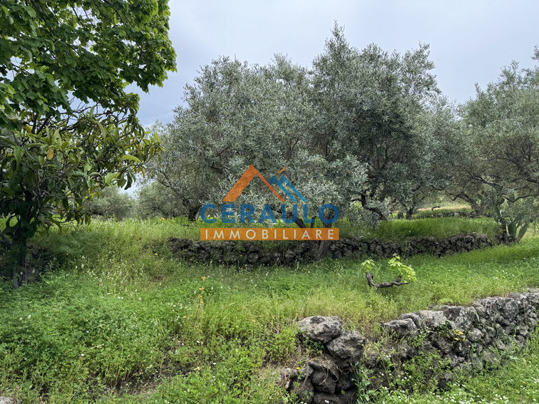 Ceraulo Immobiliare