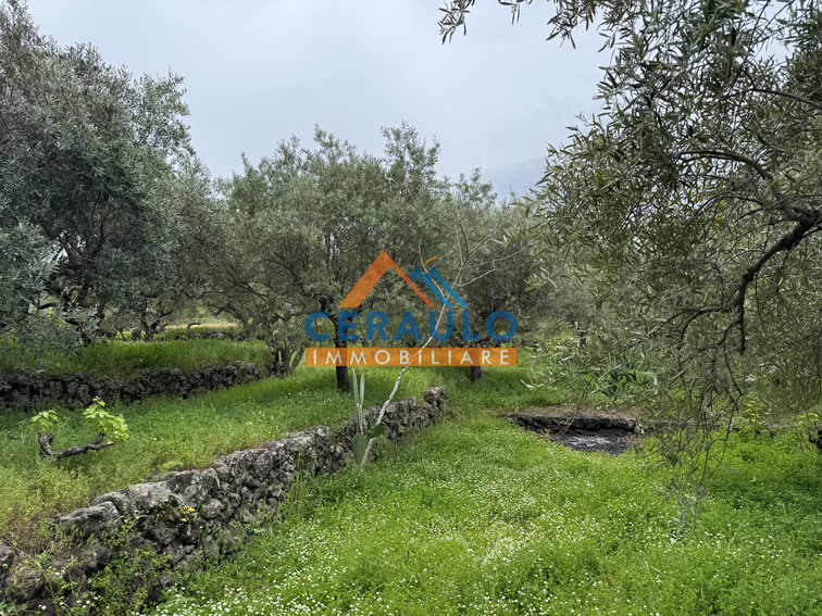 Ceraulo Immobiliare