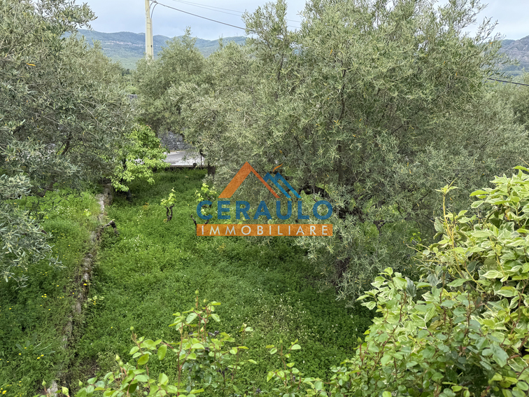 Ceraulo Immobiliare