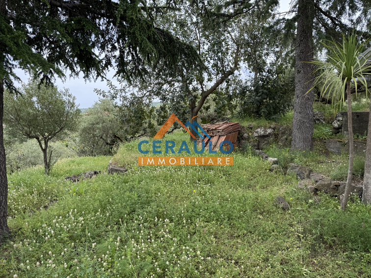 Ceraulo Immobiliare