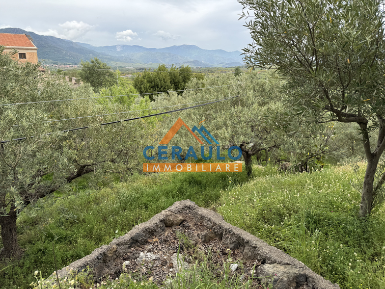 Ceraulo Immobiliare
