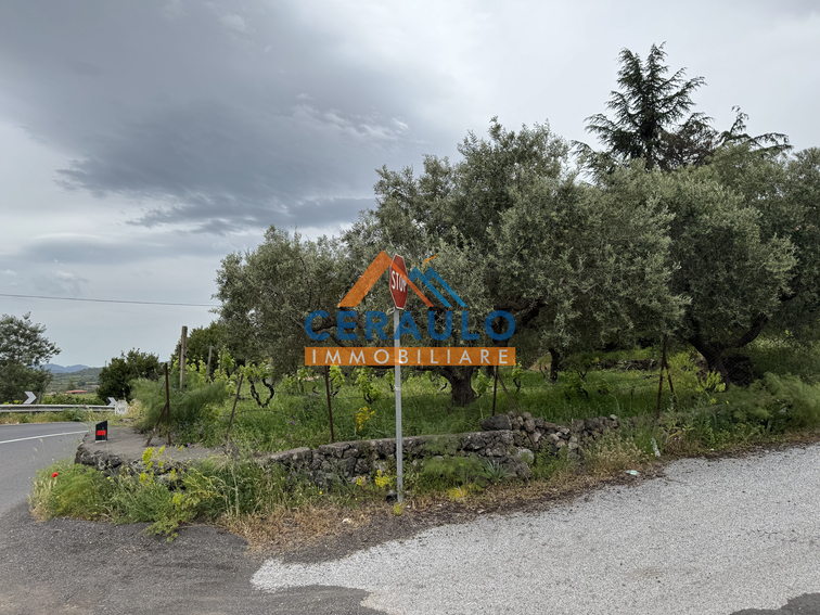 Ceraulo Immobiliare