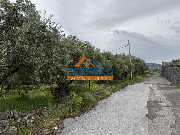 Ceraulo Immobiliare
