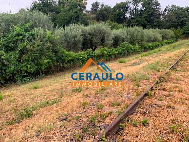 Ceraulo Immobiliare