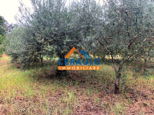 Ceraulo Immobiliare