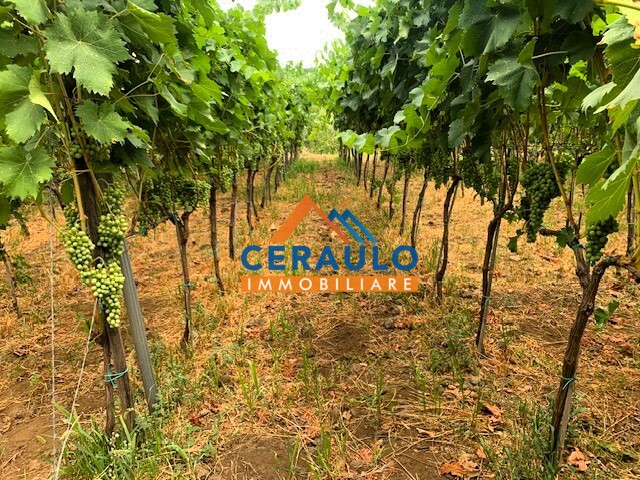 Ceraulo Immobiliare