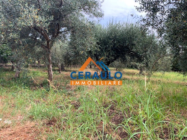 Ceraulo Immobiliare