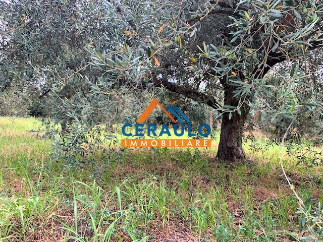 Ceraulo Immobiliare
