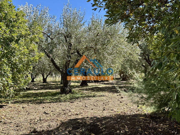 Ceraulo Immobiliare