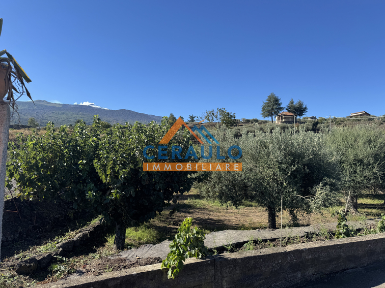 Ceraulo Immobiliare