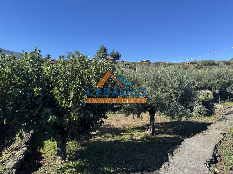 Ceraulo Immobiliare