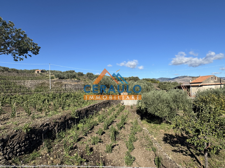 Ceraulo Immobiliare